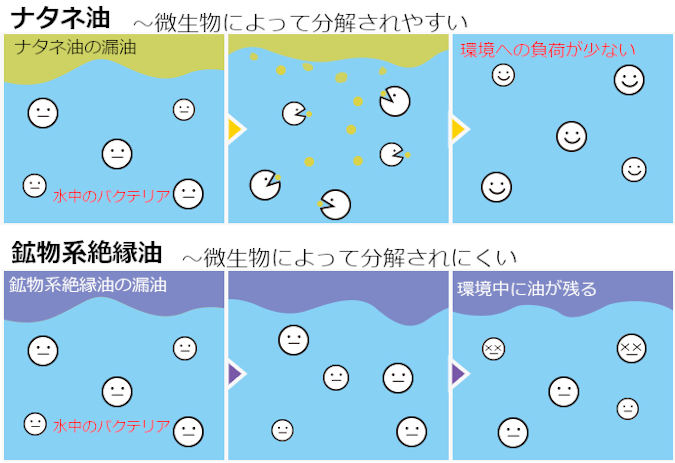 バクテリアによる分解のイメージ