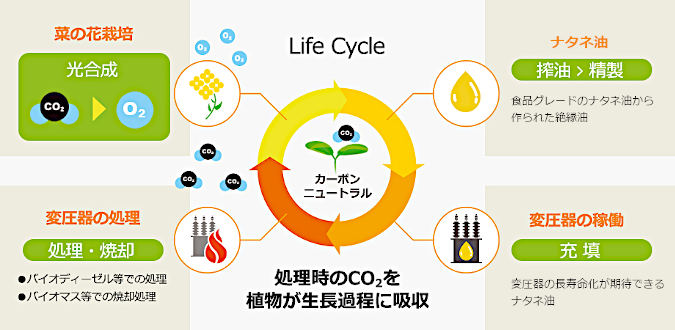 Life_Cycle